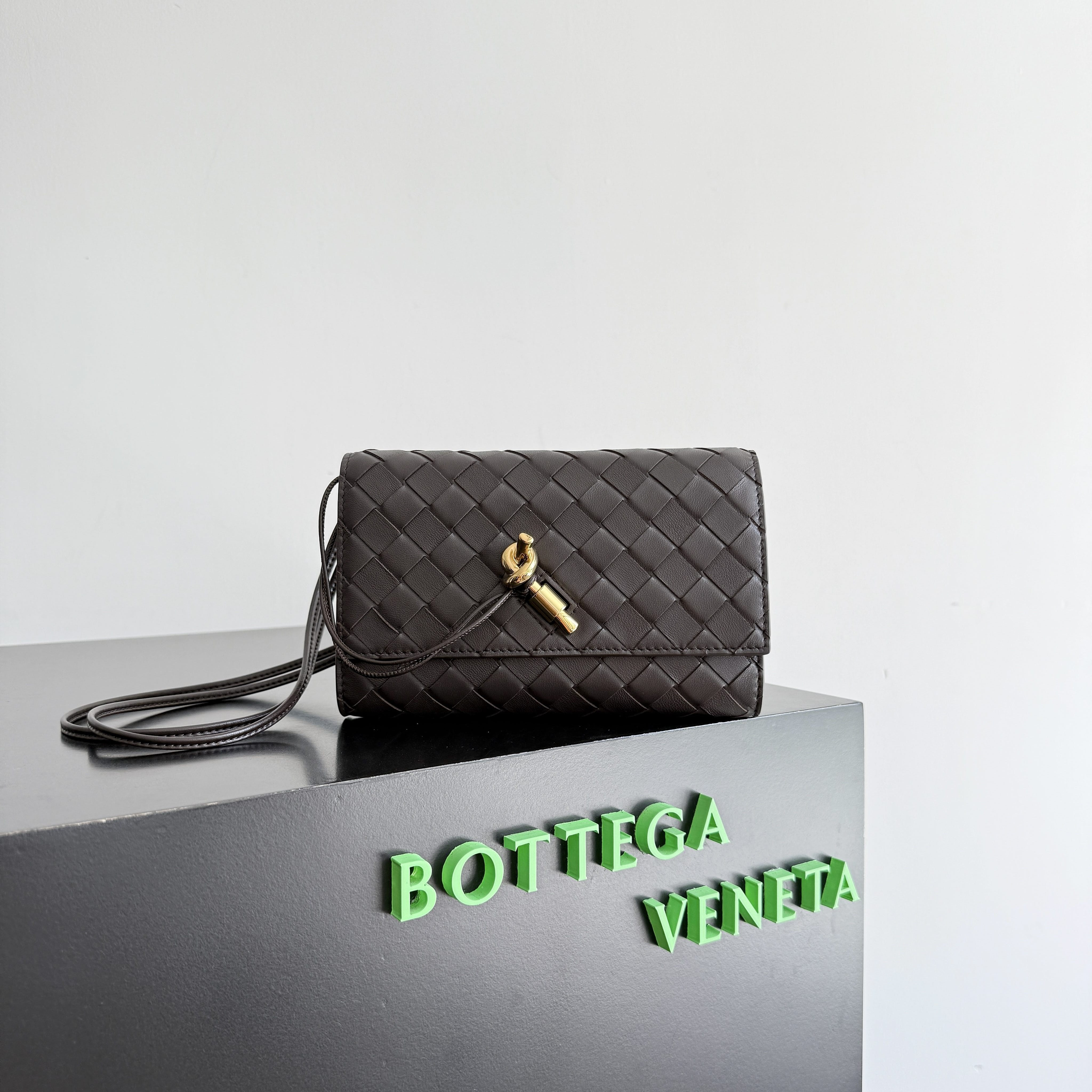 bo*te*ga Ve*ne*ta andiamo pouch on strap 19x12.6x2cm