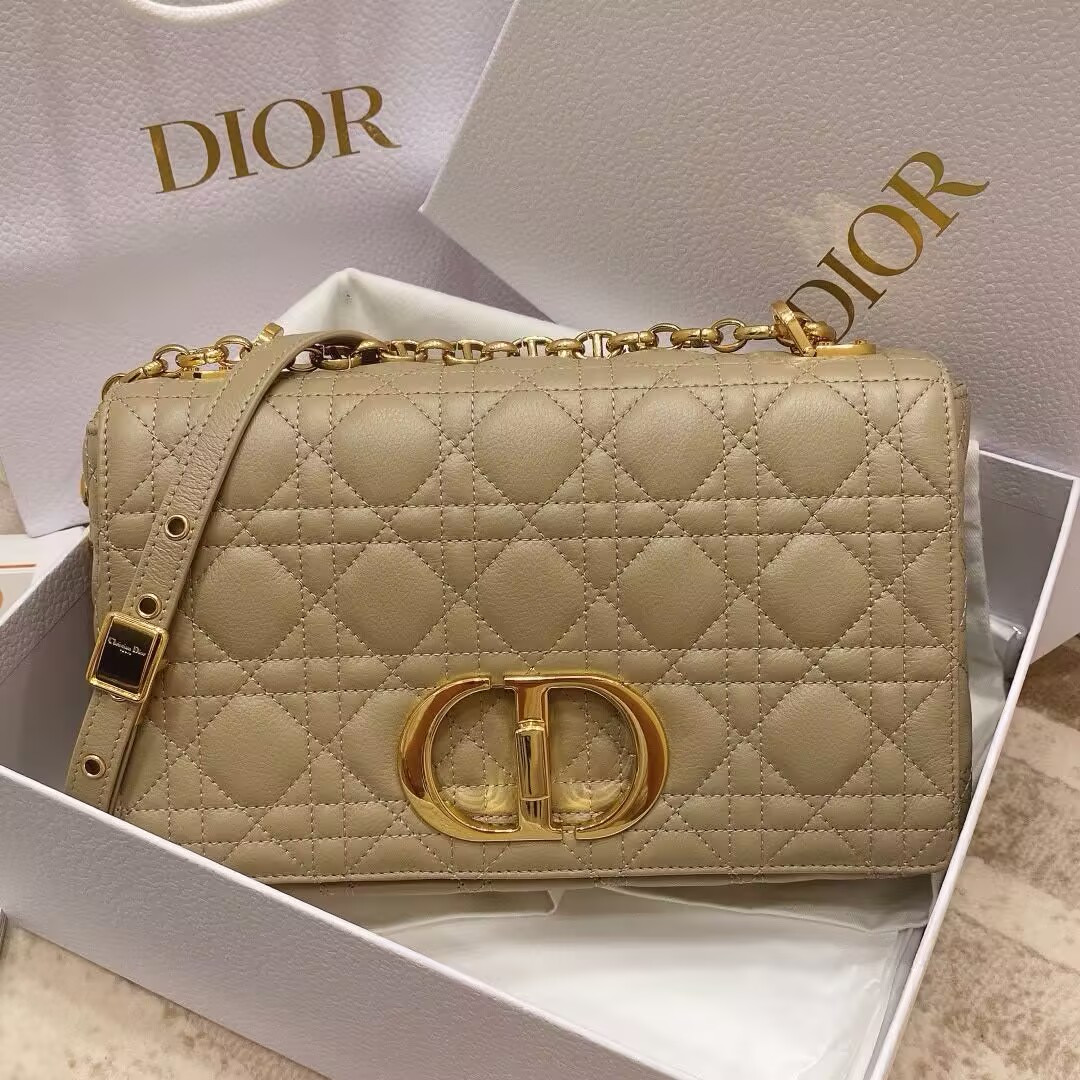 D*or medium D*or caro bag 25.5x15.5x9cm