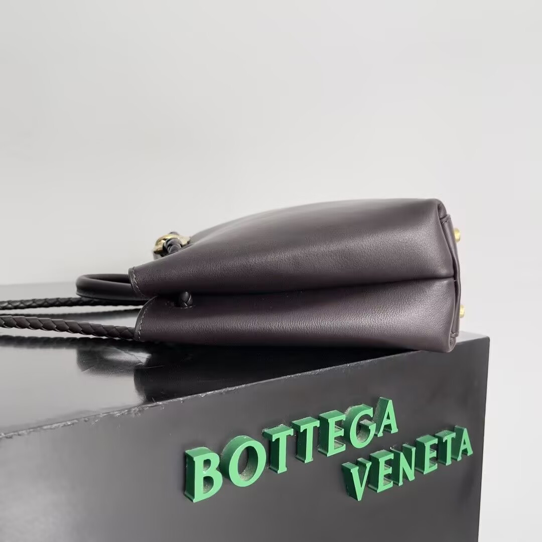 bo*te*ga Ve*ne*ta small andiamo 25x22x10.5cm