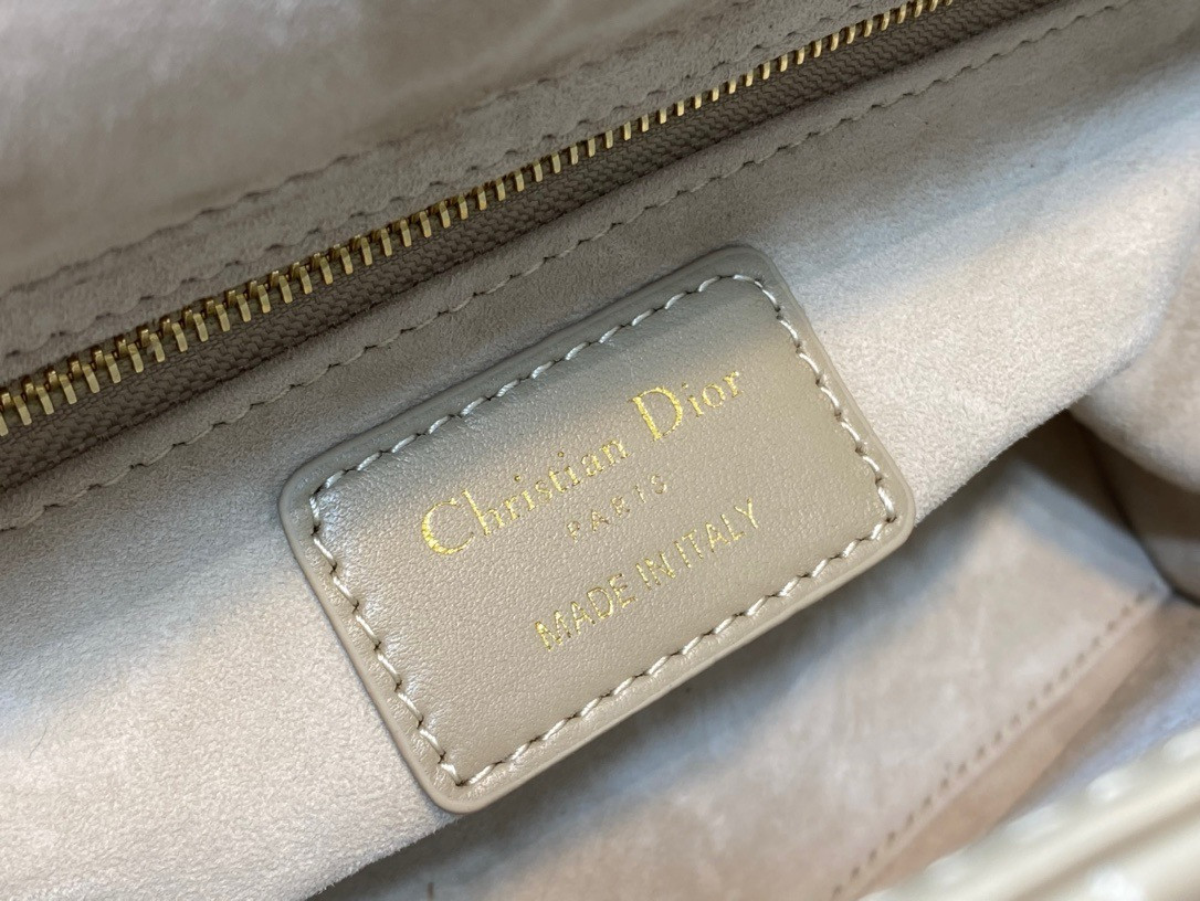 lady D*or bag 20x8x18cm