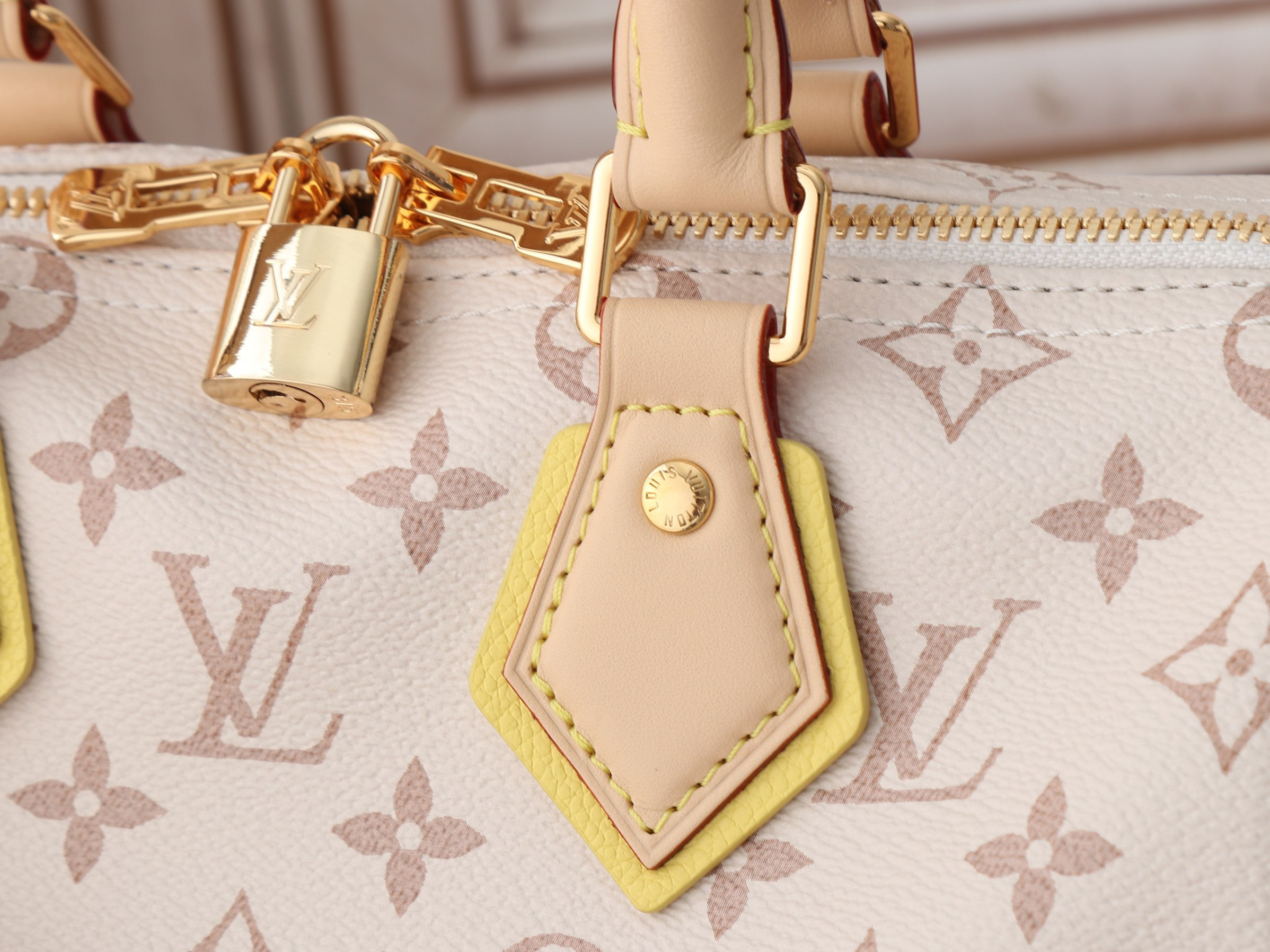 LV Speedy Bandouliere 25 M2A038 26x19x15cm